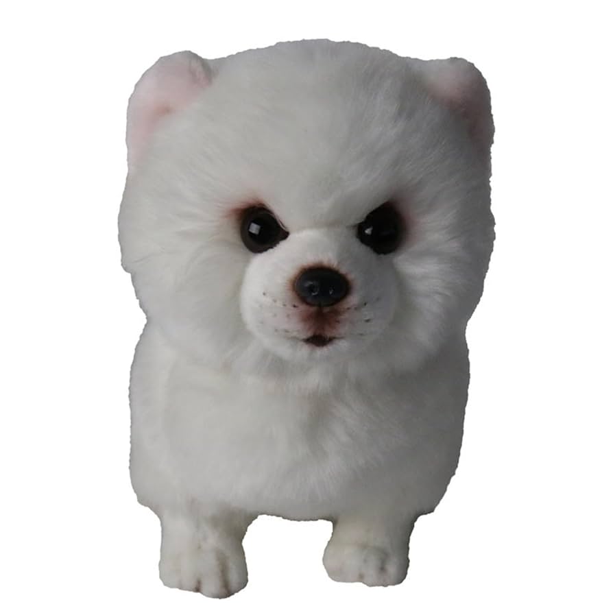 Amazon.co.jp: ぬいぐるみ ポメラニアン ワンちゃん 白い犬 本物